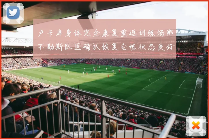 卢卡库身体完全康复重返训练场那不勒斯队医确认恢复合练状态良好