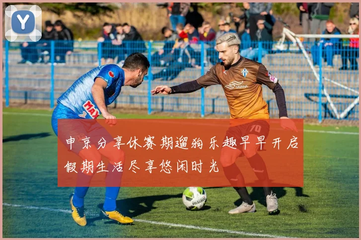 申京分享休赛期遛狗乐趣早早开启假期生活尽享悠闲时光