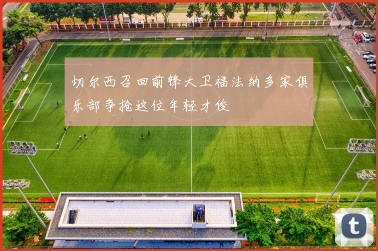 切尔西召回前锋大卫福法纳多家俱乐部争抢这位年轻才俊